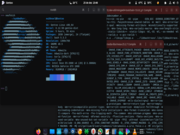 Gentoo complilando Wine e Steam.